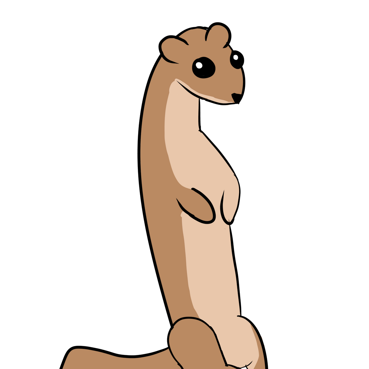 Stoat Draw stoat by HarmonicBrony on DeviantArt