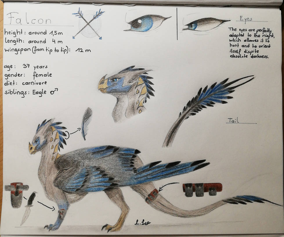 Falcon Reference Falcon Reference Sheet by NightRaptor14 on DeviantArt