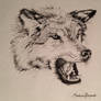 Wolf sketch