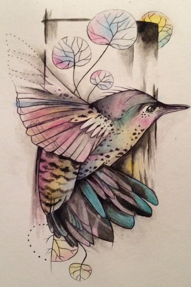 Hummingbird