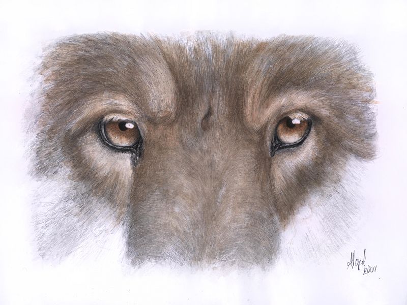 Wolf Eyes: Gontscharow