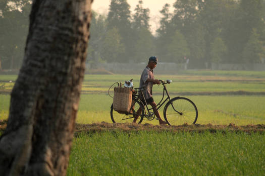 My Bicycle