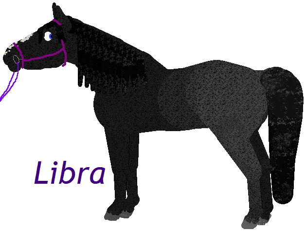 Libra-petz 4 mare