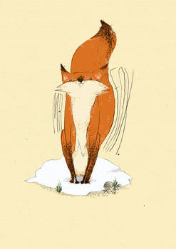 Mr Fox