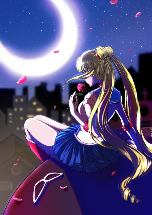 Sailor Moon by Amaipetisu