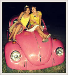 THE PINK BEETLE.