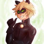 Chat Noir