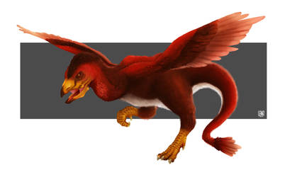 Wyveraptor