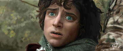 Elijah Wood as Frodo