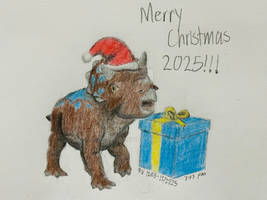 Merry Christmas, 2025! - 12/27/2025