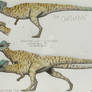 Dinoverse: OokEekAcks - 1/9/2026