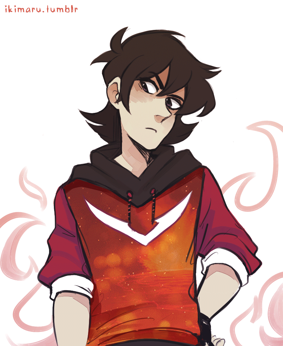 Voltron red 2025 lion hoodie