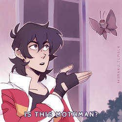 Is This Mothman