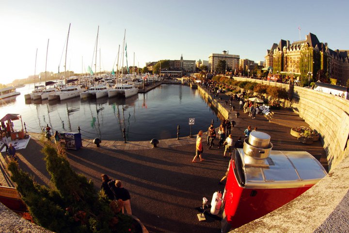 victoria harbour