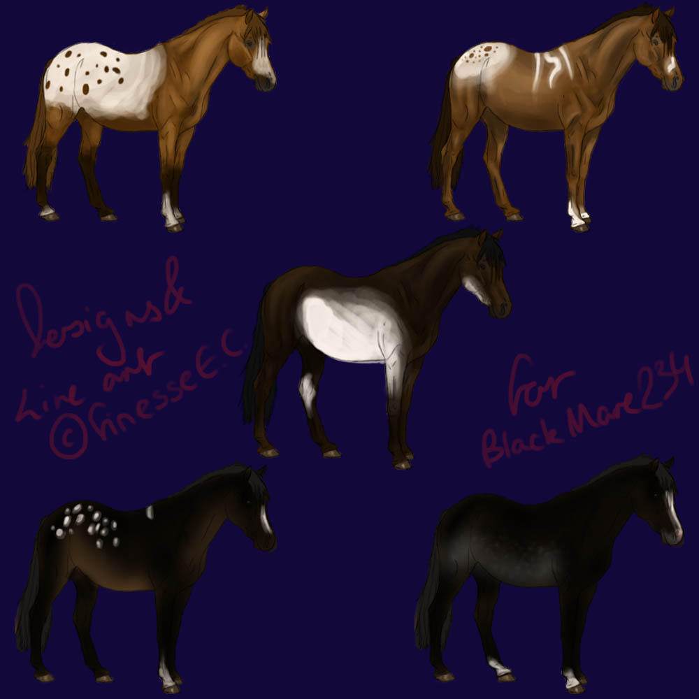 .: A few Foals :.