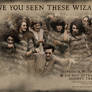 Have You Seen These Wizards?