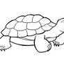 Tortoise - Drawing