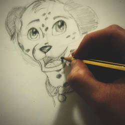 Dalmatian Doodle