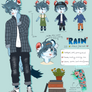 RAIN // Reference Sheet