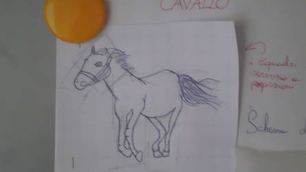 Horse