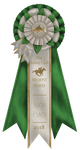 6th by TJC-Official