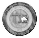 Silvermerit by TJC-Official