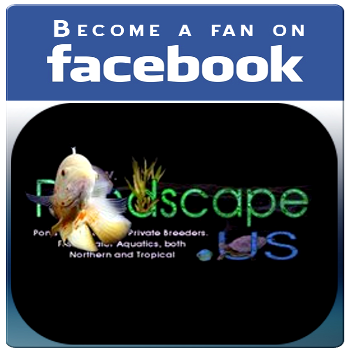 Pondscape FB 2013 Be A Fan