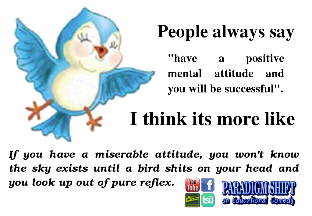 Perspectives of Attitude