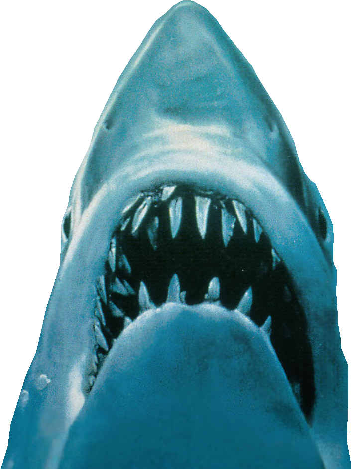 Jaws Shark PNG 3 by HiccElsa1954 on DeviantArt