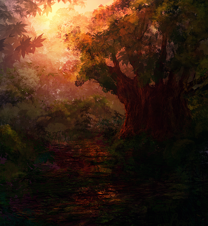 forest sunset