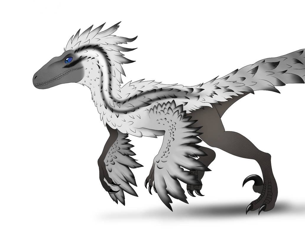 Floofy Utah Raptor Feathered Utahraptor by Wingsuiter007 on DeviantArt