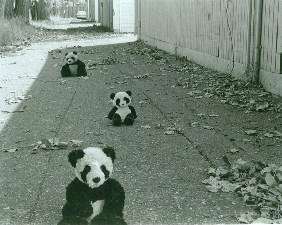 Neverending pandas