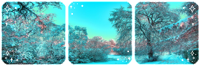 Bancuri diverse Winter_forest_l_divider_by_sileentdo_dba91uc-fullview.png?token=eyJ0eXAiOiJKV1QiLCJhbGciOiJIUzI1NiJ9.eyJzdWIiOiJ1cm46YXBwOjdlMGQxODg5ODIyNjQzNzNhNWYwZDQxNWVhMGQyNmUwIiwiaXNzIjoidXJuOmFwcDo3ZTBkMTg4OTgyMjY0MzczYTVmMGQ0MTVlYTBkMjZlMCIsIm9iaiI6W1t7ImhlaWdodCI6Ijw9OTUiLCJwYXRoIjoiXC9mXC9hOGI5OTc3My1mZDgwLTRkNTUtYTlkYi1jMGYxZTQ2MGU2ZWNcL2RiYTkxdWMtYjQ4YmZkYjQtMjEwNC00ODU4LTk3YmQtMGNkNjJiZTIxZDEzLnBuZyIsIndpZHRoIjoiPD0yODcifV1dLCJhdWQiOlsidXJuOnNlcnZpY2U6aW1hZ2Uub3BlcmF0aW9ucyJdfQ