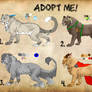 Feline Adopts: OPEN