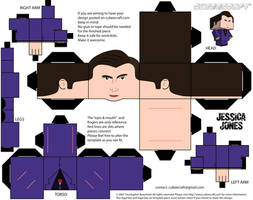 Killgrave Cubeecraft
