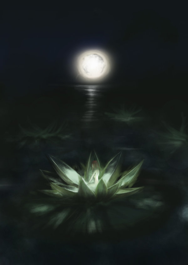 Lotus by Laguna