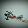 Wing Walker 2563