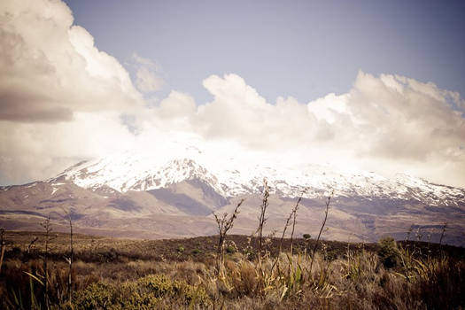 Mountains