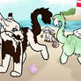 At the Beach