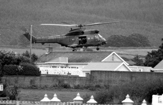 Puma in Northern Ireland