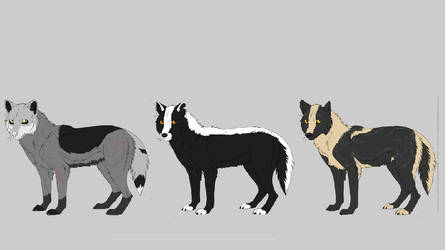 CHEAP Emergency Wolf Adoptables CLOSED