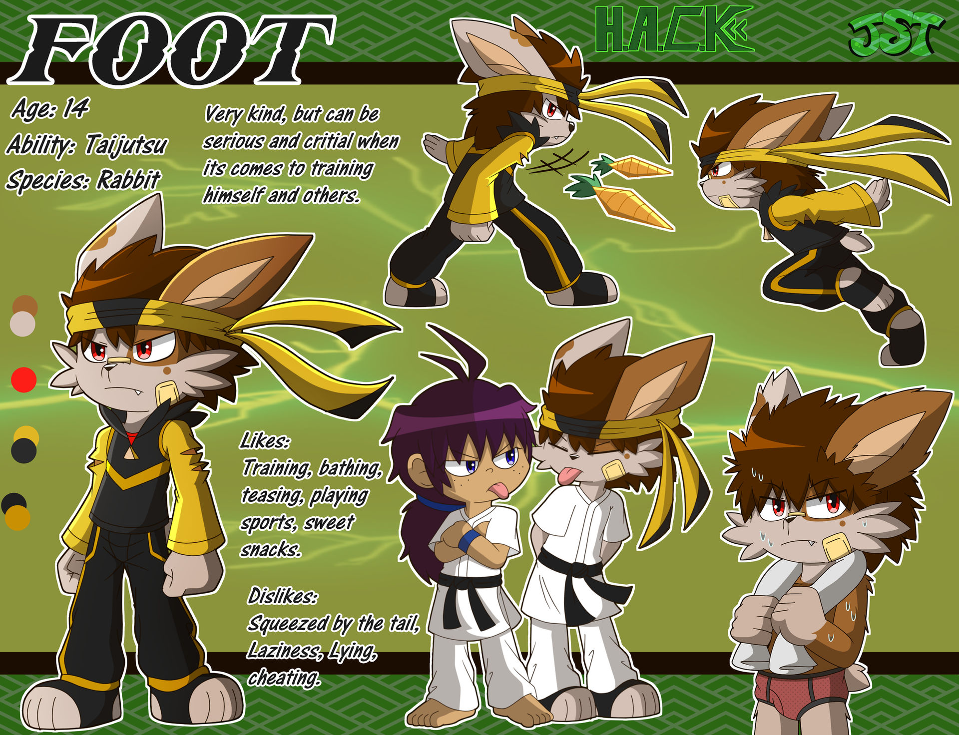 Hero Rabbit Feet H.A.C.K: Foot the Ninja Rabbit by JaredSteeleType on DeviantArt