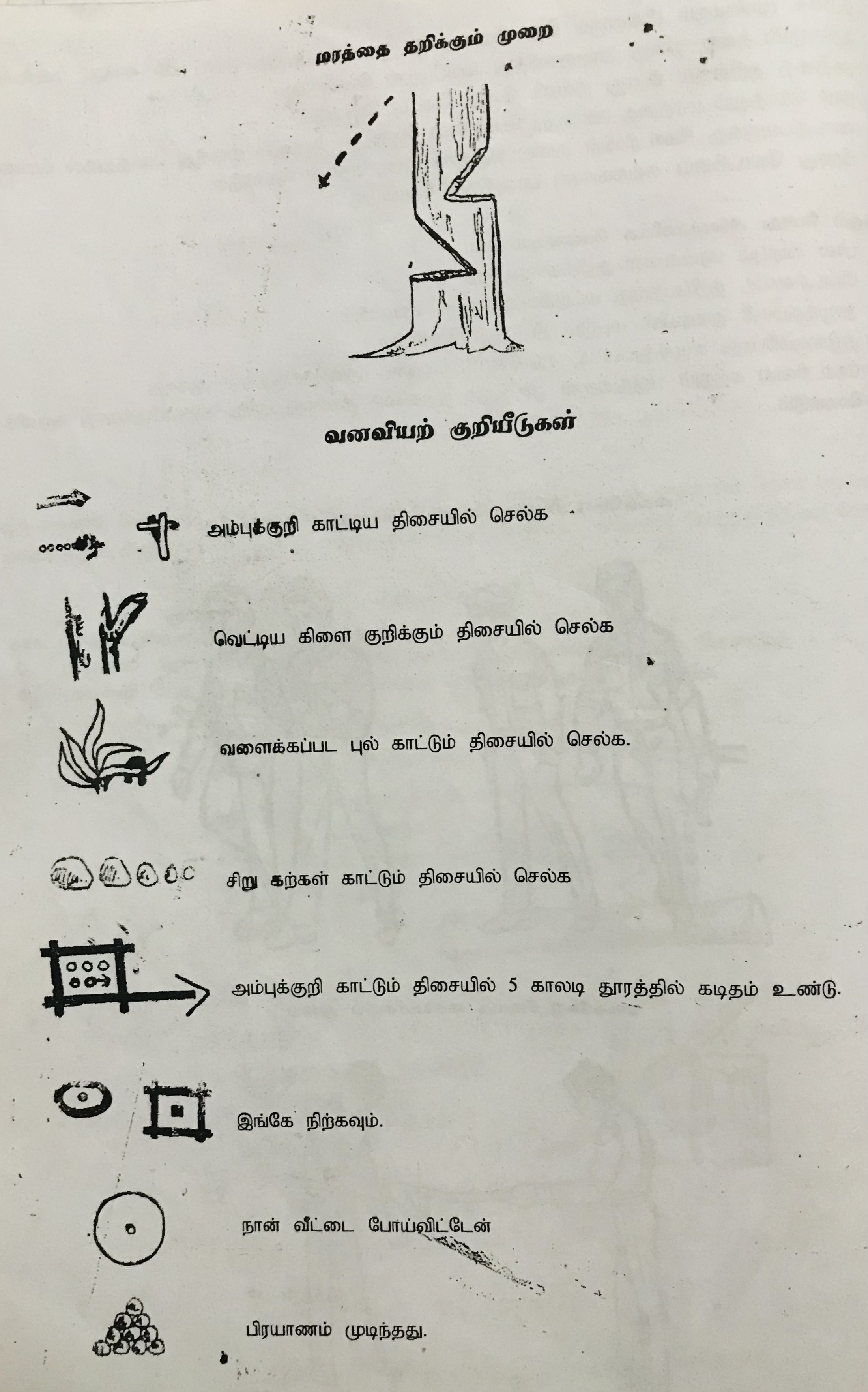 Scout tracking signs by Ragu-8009 on DeviantArt