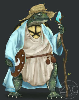 Tortle DnD Character Art Commission