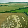 ET Message Crop Circle Personal Study.