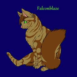 Falconkit - Falconpaw - Falconblaze