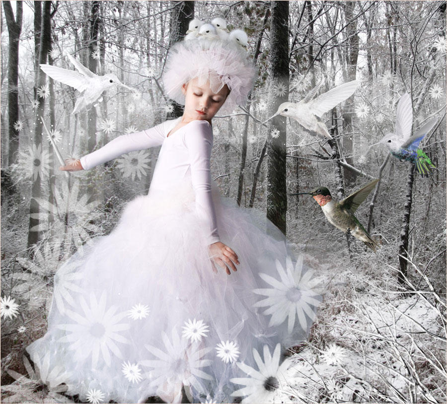 The White Birds Fairy