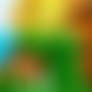 Pictures with Nature (Sunflower)