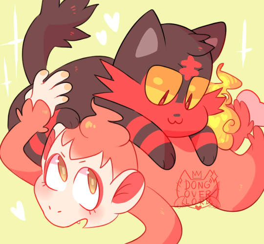 litten + chimchar