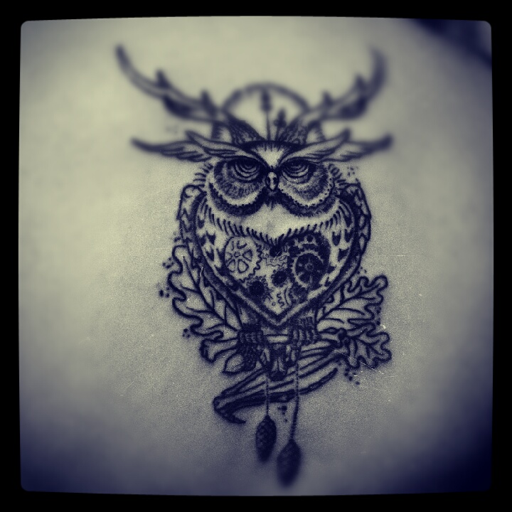 owl  in progress